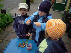 Kastanienzeit 2010