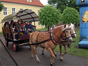 Kinder- und Sponsorenfest 2010