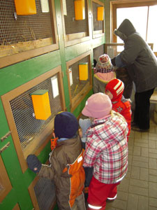 Besuch bei einem Kaninchenzüchter -  03.03.2011