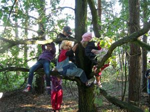 Unser Waldtag im Kletterwald -  31.08.2011