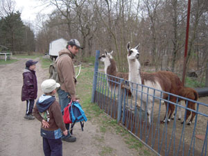 Frühlingslauf und Naturerlebnisse in Hohenbocka -  08.04.2011