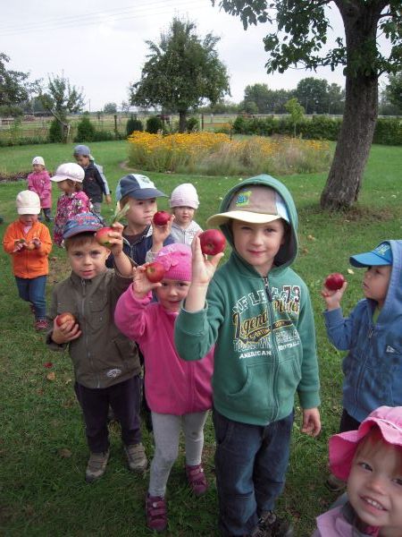 Apfel, Birne, Pflaume ... - 09.2012