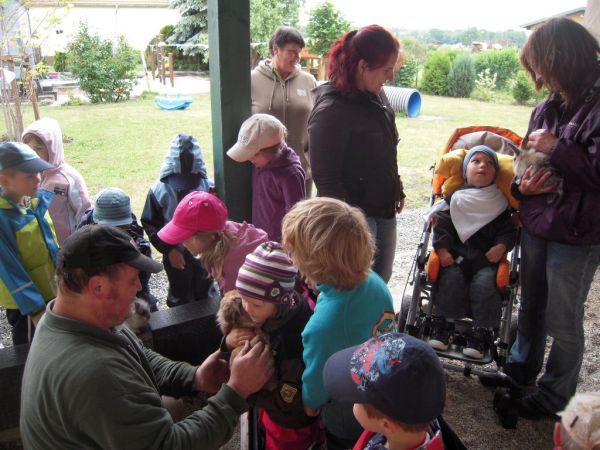 Streichelzoo am Kindertag - 01.06.2012